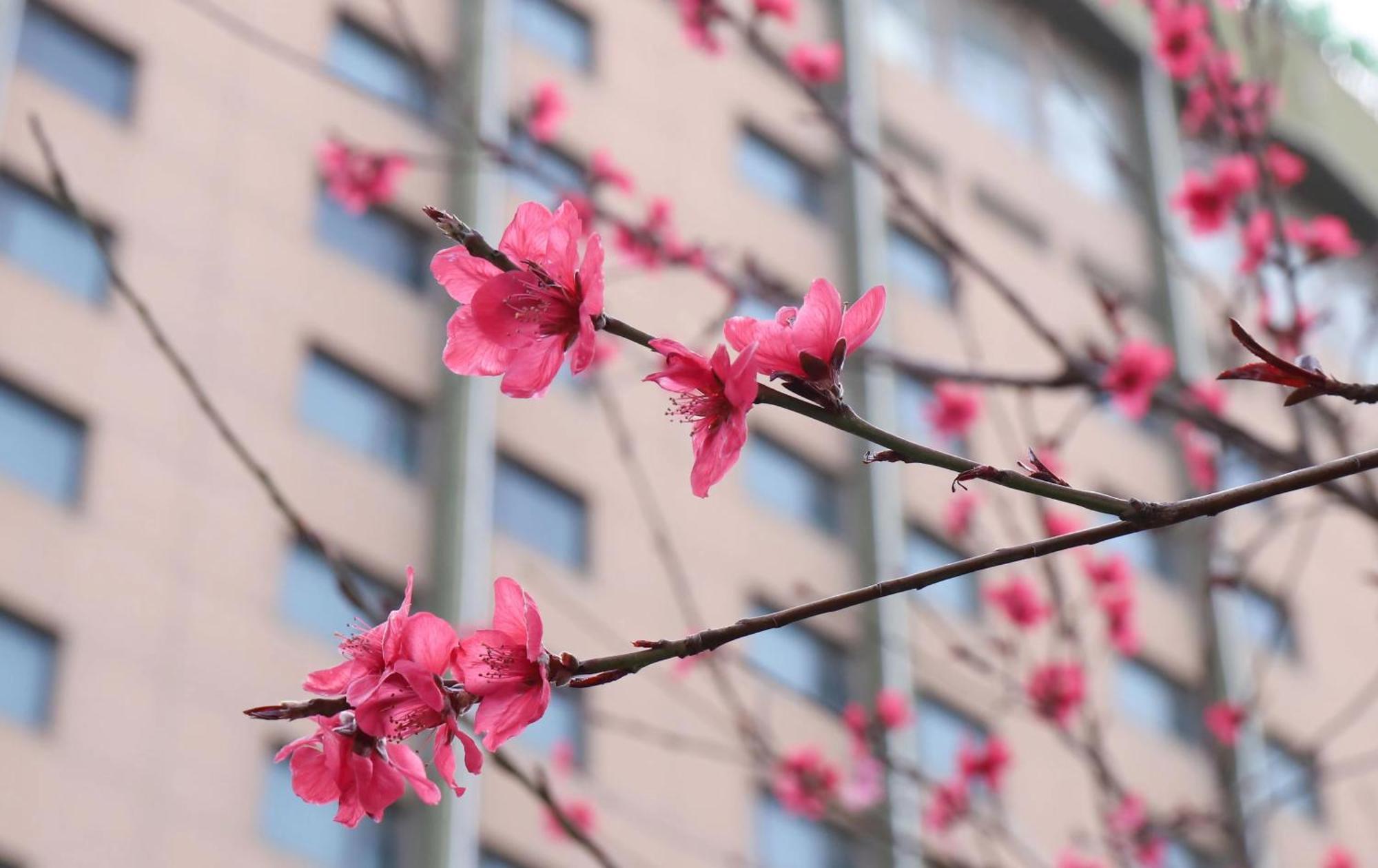 Holiday Inn Express Zhengzhou Zhongzhou By Ihg 외부 사진